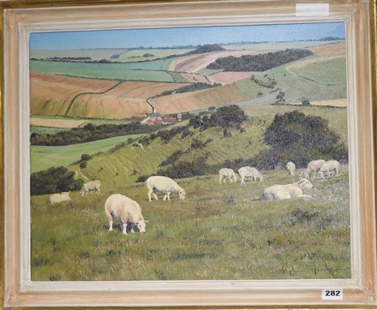 Stephen Hawkins, oil on canvas, sheep on the downs, signed 39 x 50cm